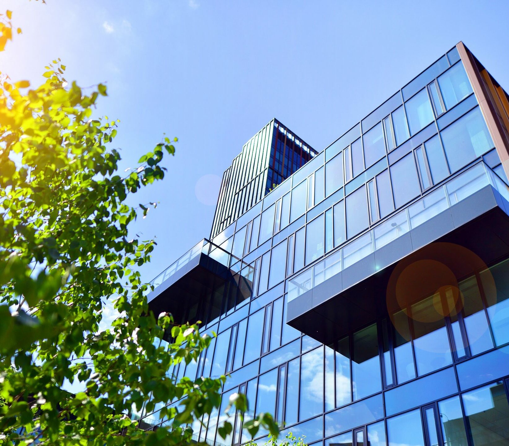 Modern glasbyggnad med reflekterande fönster mot en klarblå himmel, inramad av gröna trädgrenar och solljuslinsutstrålning.